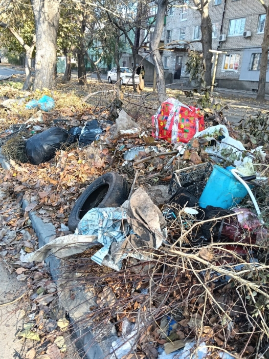 В Николаеве рядом с многоэтажками образовалась свалка: оказалось, что там всего один контейнер