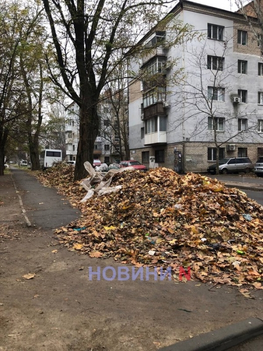 Центральный район Николаева буквально завален опавшими листьями - их никто не убирает (фото)