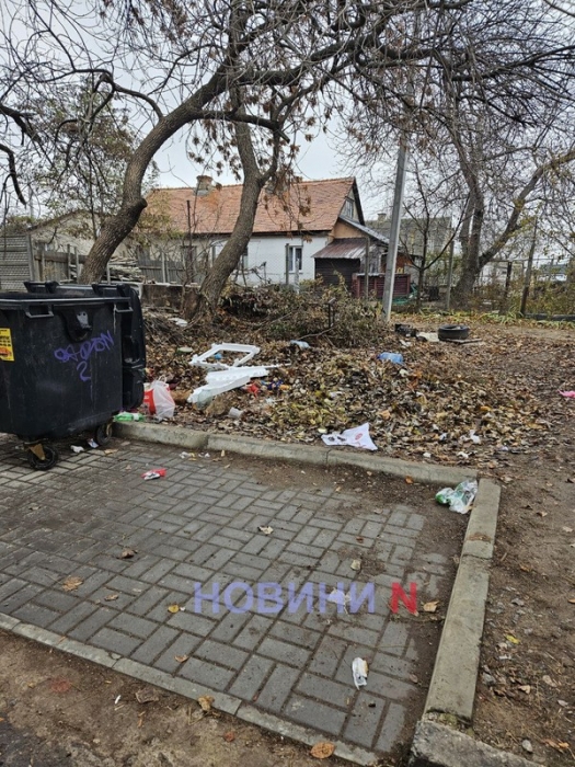 Центральный район Николаева буквально завален опавшими листьями - их никто не убирает (фото)