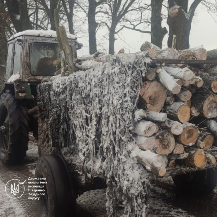 На Миколаївщині зловили чоловіка, який перевозив причіп незаконних дров (фото)