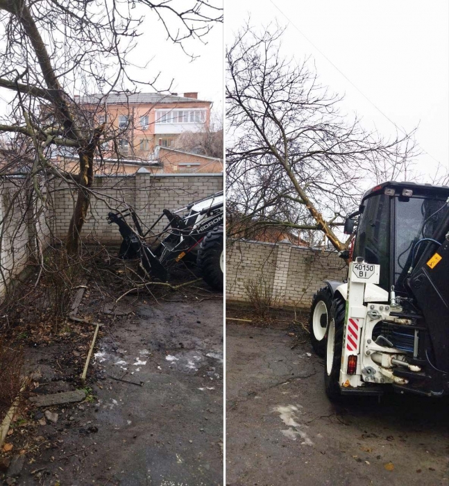 В Полтаве пьяный руководитель психбольницы пытался снести экскаватором дерево, отстреливаясь из травмата (видео)