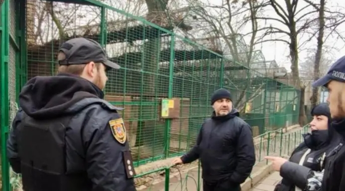 Вбивство леопарда в Одесі: зоозахисники вимагають провести розслідування