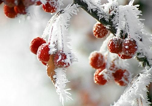 В Украине будет снежно и морозно