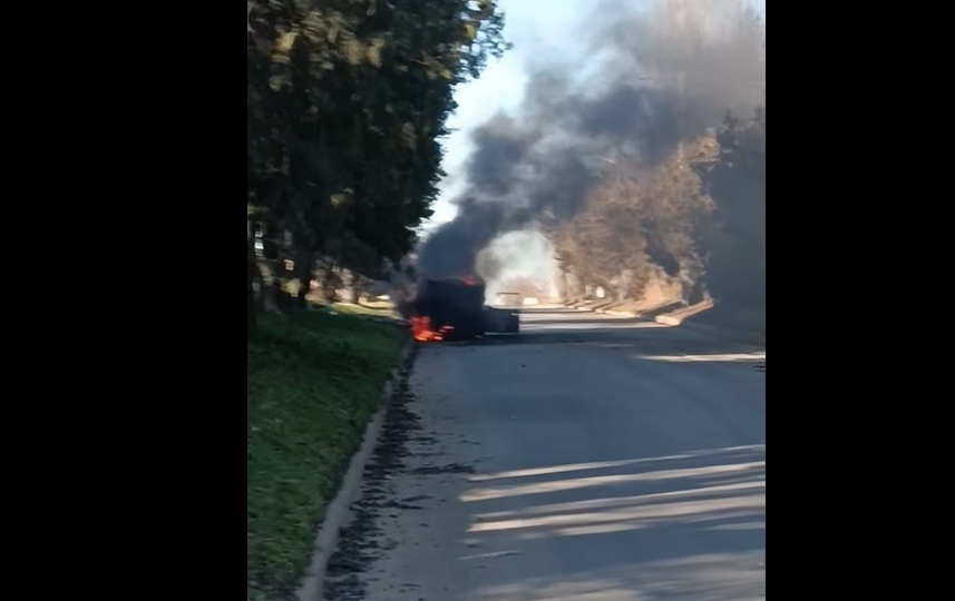 В селе под Николаевом посреди улицы сгорел автомобиль (видео)