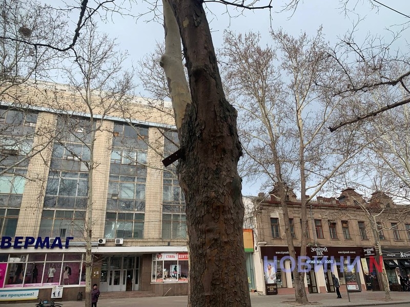 Скандальна клумба за мільйон у Миколаєві: металеве кільце ще не демонтовано (фото)