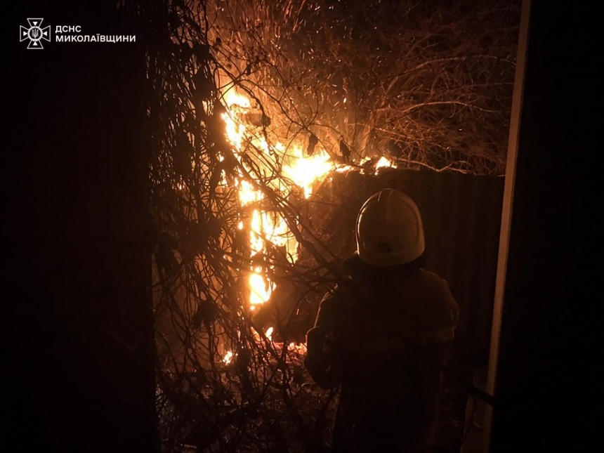 Горели дома, гараж, сухостой и камыш: спасатели рассказали о пожарах на Николаевщине