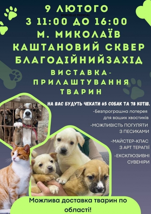 Миколаївців запрошують на виставку собак та котів, яких врятували в Херсонській області