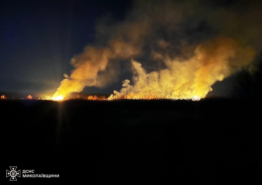 На Миколаївщині підпалили очерет: вогонь знищив усе живе на площі 1,5 га