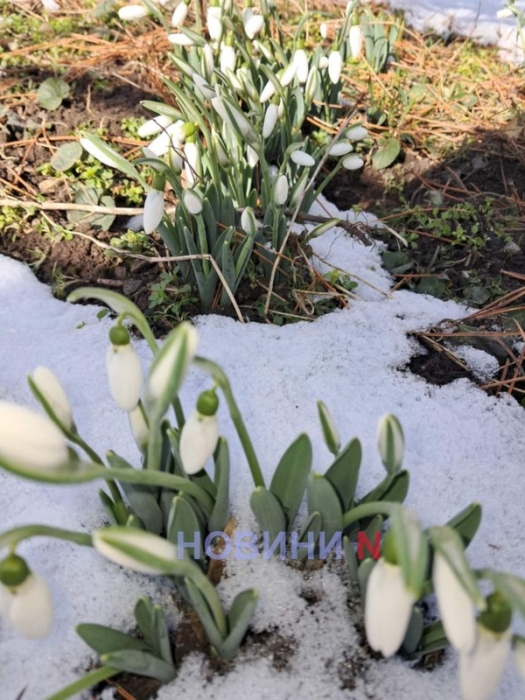 Вночі мороз, вдень до +5°: синоптики розповіли про погоду у Миколаєві та області у вівторок