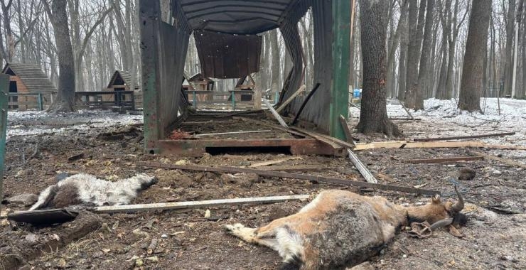 В экопарке Харькова в результате удара «шахеда» погибли животные