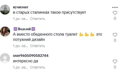 Великий будинок, а душова на кухні: у Миколаєві здають житло з незвичайним «дизайнерським рішенням» (відео)