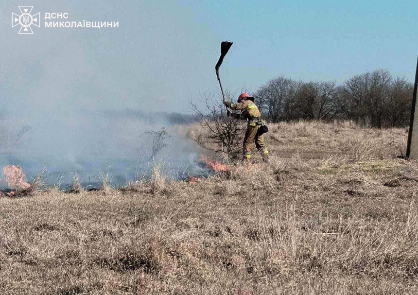 На Миколаївщині палії влаштували 12 пожеж