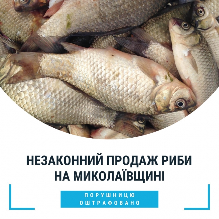 Оштрафовали на 85 гривен: жительница Николаевщины провинилась тем, что продавала выловленную рыбу