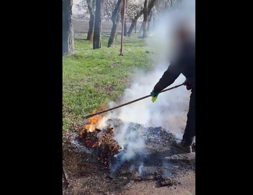 Палили листя – отримали штраф: мешканців Миколаївщини покарали за «наведення порядку» (відео)