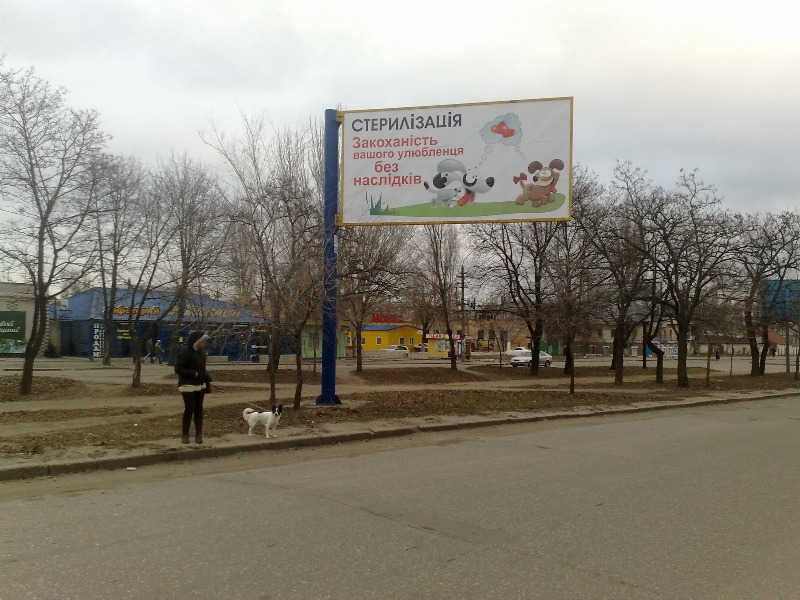 Новая социальная реклама в Николаеве пропагандирует стерилизацию животных
