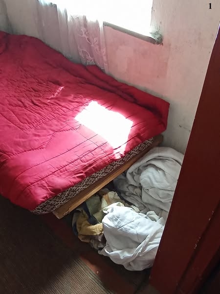 «Діти вулиці» на Миколаївщині: перевірка виявила жахливі умови життя (фото)