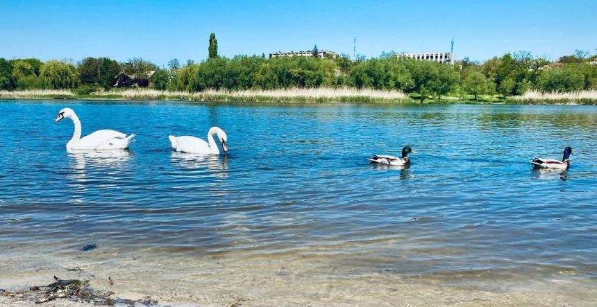 ТОП-5 місць відпочинку у Первомайську: рафтінг, катання на конях та водяний млин (фото)