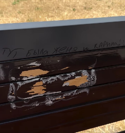 Невідомі крадуть квіти та псують лавки у Миколаєві (відео)