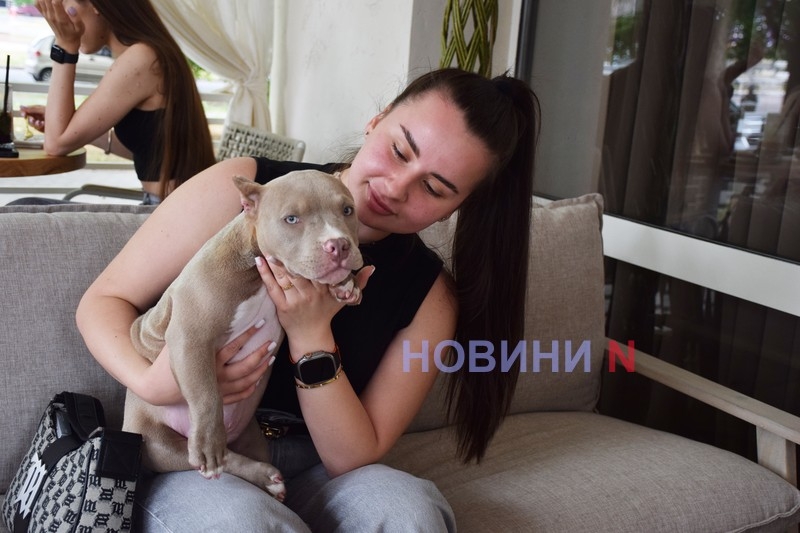 У центрі Миколаєва відкрилося нове кафе – і одразу стало популярним