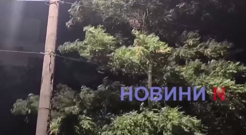 Шквальный ветер начался в Николаеве (видео)