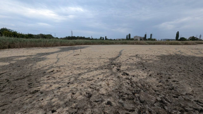 Соленое озеро в парке «Лески» полностью пересохло (фото)