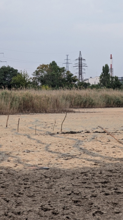 Соленое озеро в парке «Лески» полностью пересохло (фото)