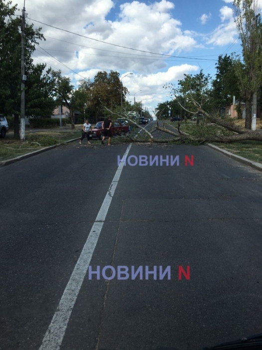 Упавшее дерево перегородило проезжую часть на проспекте в Николаеве