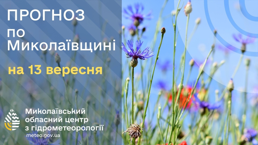 Какая погода будет в Николаевской области в субботу 
