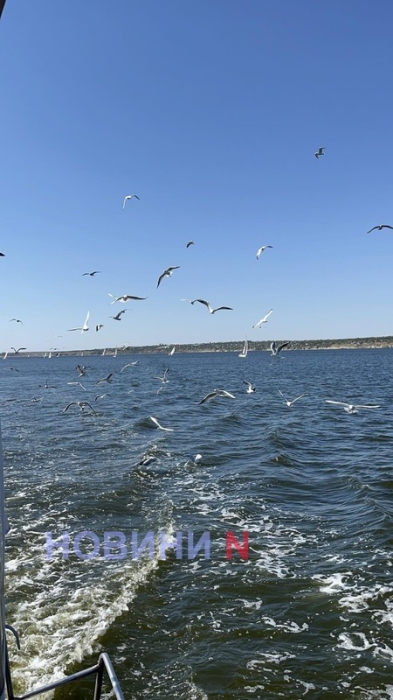 У Миколаєві пройшли перегони крейсерських яхт (фоторепортаж)
