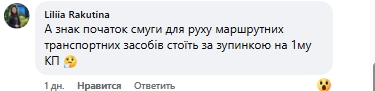 Водители критикуют новую дорожную разметку в Николаеве (видео)