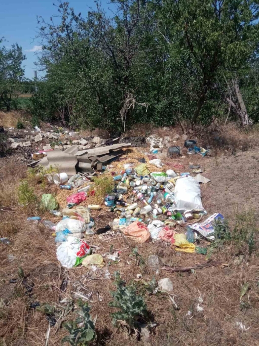 Стихийная свалка под Вознесенском ликвидирована