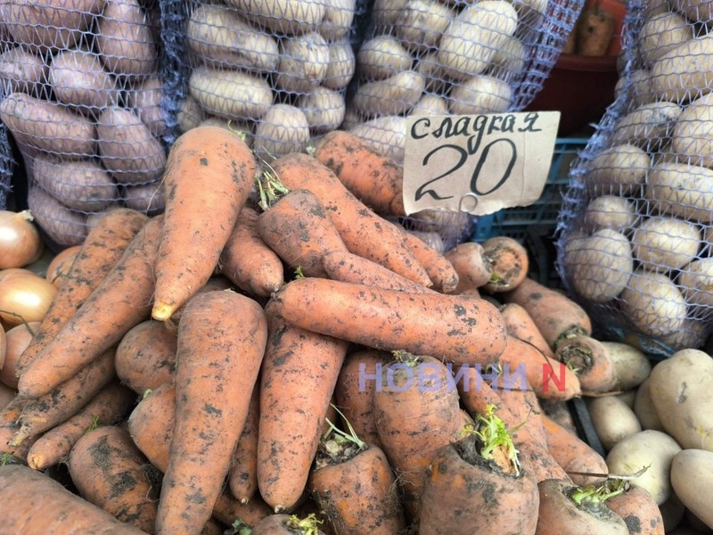 «Сентябрьский» рынок в Николаеве: дорогое мясо и местный инжир (фоторепортаж)