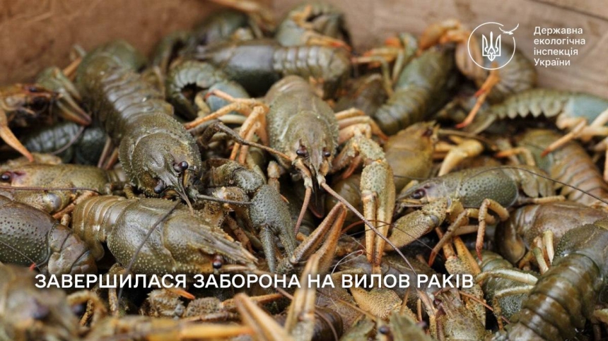 Ловить раков в Николаевской области уже можно: в чем причина