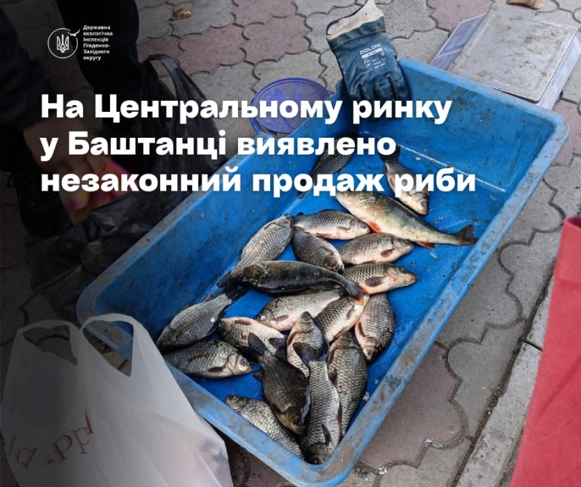 В Баштанке на рынке незаконно продавали рыбу 