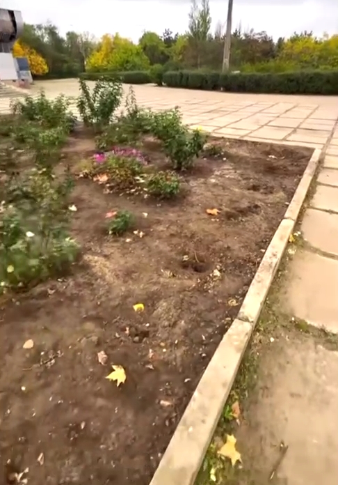Неизвестные украли 18 кустов роз у парка в Николаеве (видео)