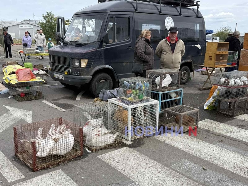 Куры, голуби и даже попугаи: в Николаеве проходит необычная ярмарка (фото)