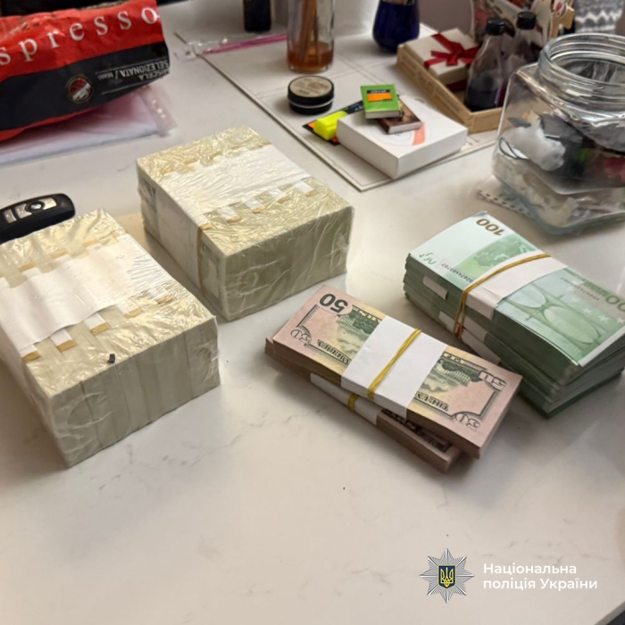 Мільйон доларів та елітна нерухомість: у Дніпрі чиновницю підозрюють у незаконному збагаченні