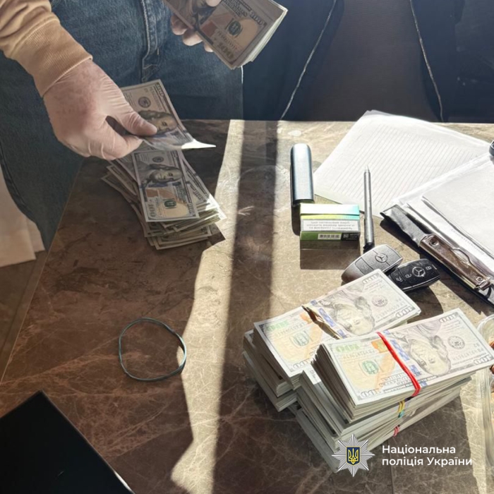 Мільйон доларів та елітна нерухомість: у Дніпрі чиновницю підозрюють у незаконному збагаченні