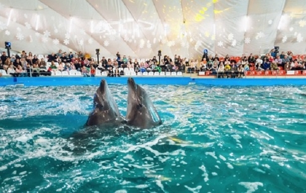 В Одессе арестовали здание дельфинария Немо 