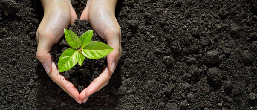 Австрія допоможе аграріям Миколаївської області досліджувати ґрунт