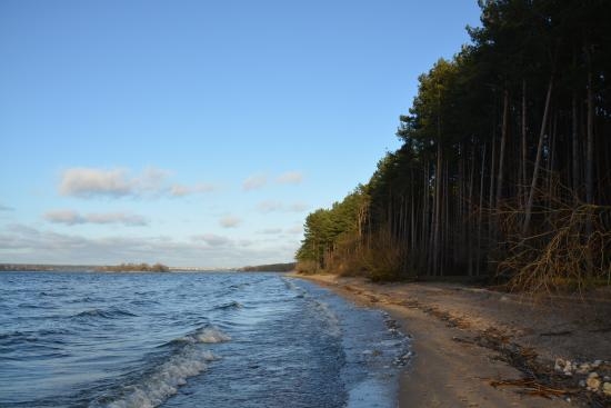 На Миколаївщині суд повернув державі незаконно приватизовану ділянку на березі моря