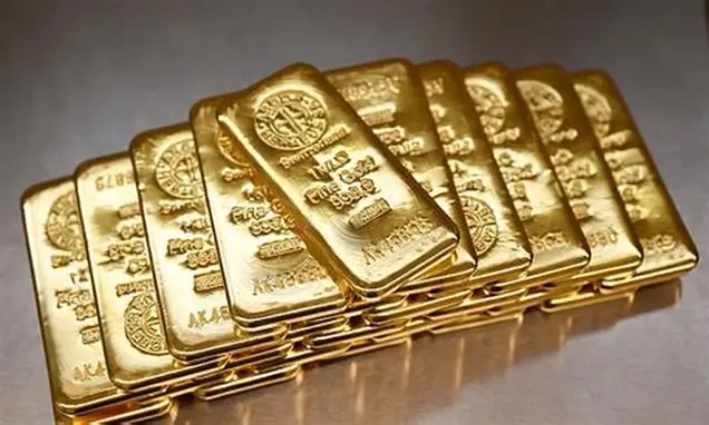 У Франції чоловік виявив мішки із золотими зливками на 700 тисяч євро, копаючи басейн