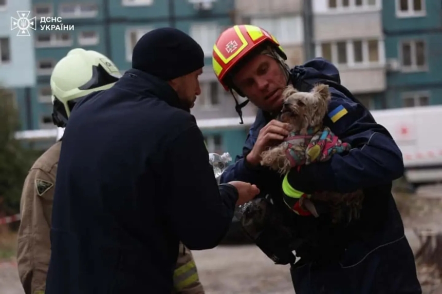 В Днепре спасатели извлекли из-под завалов девятиэтажки йоркширского терьера Мишель