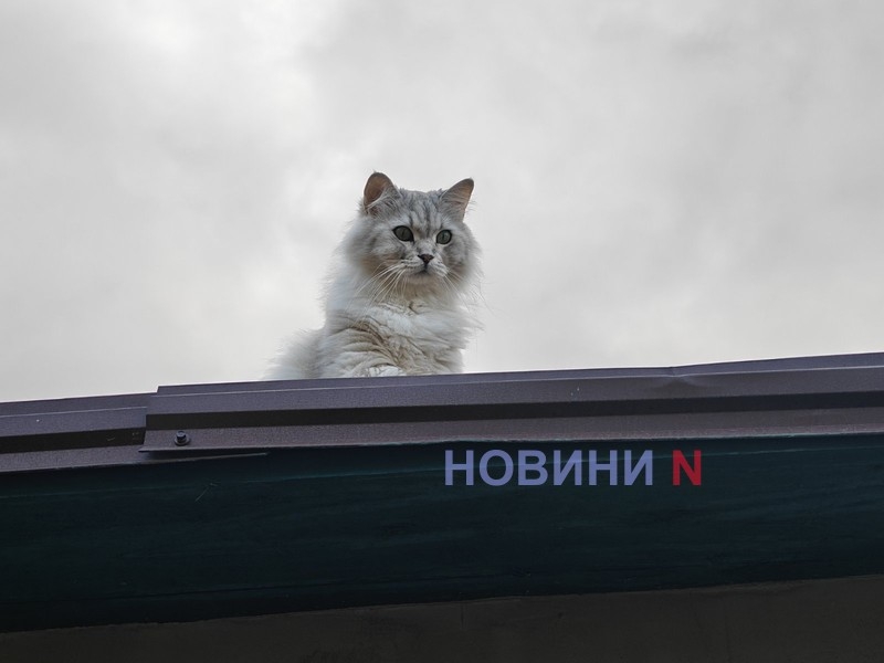 Яка погода буде у Миколаєві та області у вівторок