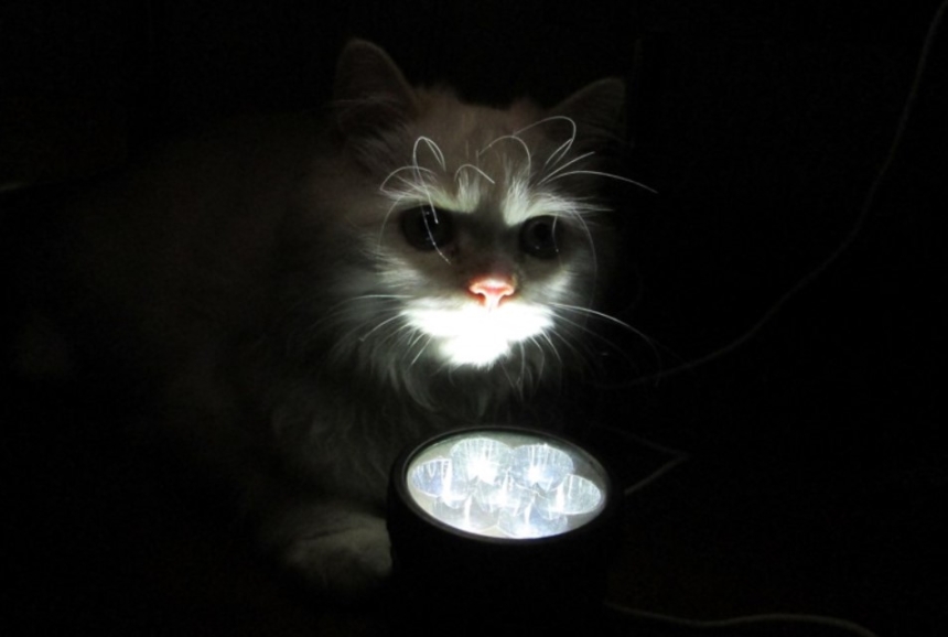 Как завтра будут отключать свет в Николаеве и области: появился график