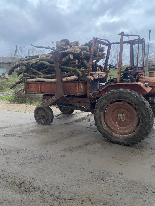 Під Миколаєвом чоловіка оштрафували на 510 грн – перевозив дрова без документів