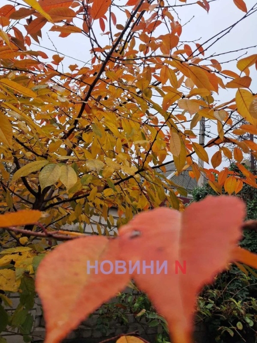 Синоптики рассказали, какой будет погода в Николаеве и области в воскресенье