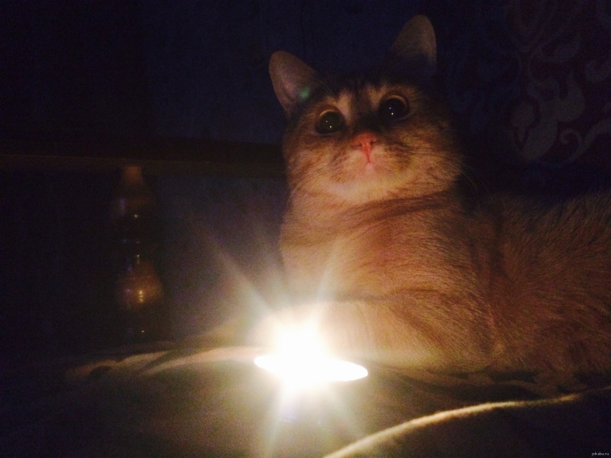 Як відключатимуть світло у неділю у Миколаївській області: графік