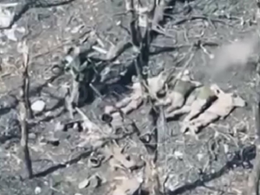 Прокуратура розпочала розслідування вбивства п'яти українських військовополонених солдатами РФ (відео 18+)