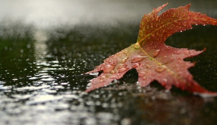 На Николаевскую область надвигается гроза, - Гидрометцентр